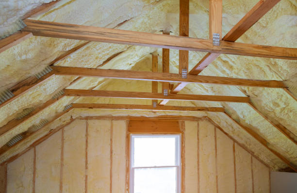 Best Insulation Inspection Services  in Suisun City, CA