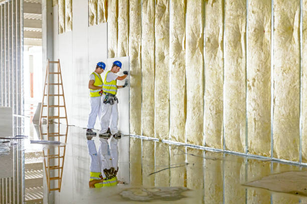 Best Crawl Space Insulation  in Suisun City, CA